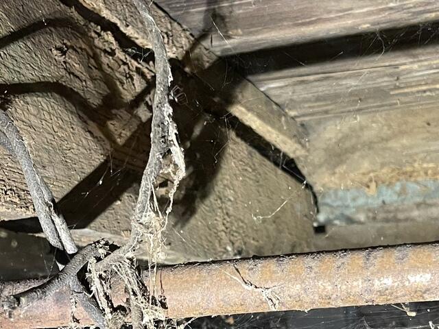 Cracked Beam