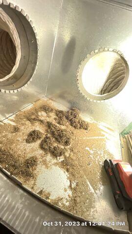 Dirt and dust in the ductwork