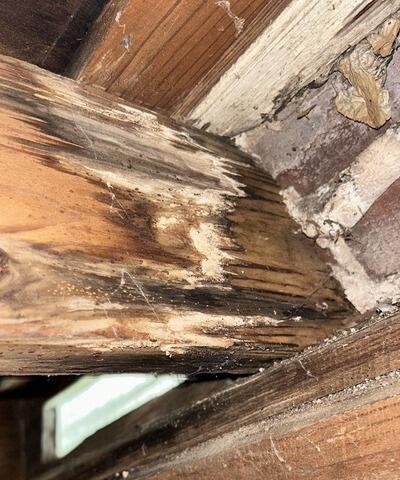 Rotting floor joists