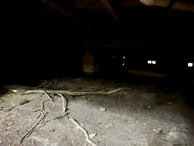 Damp Crawl Space