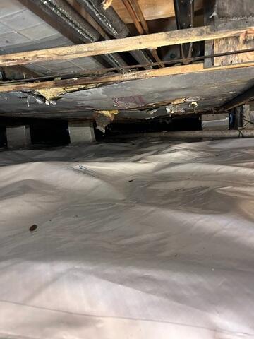 CleanSpace Vapor Barrier Installation