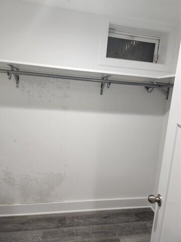 Mold Presents a Problem