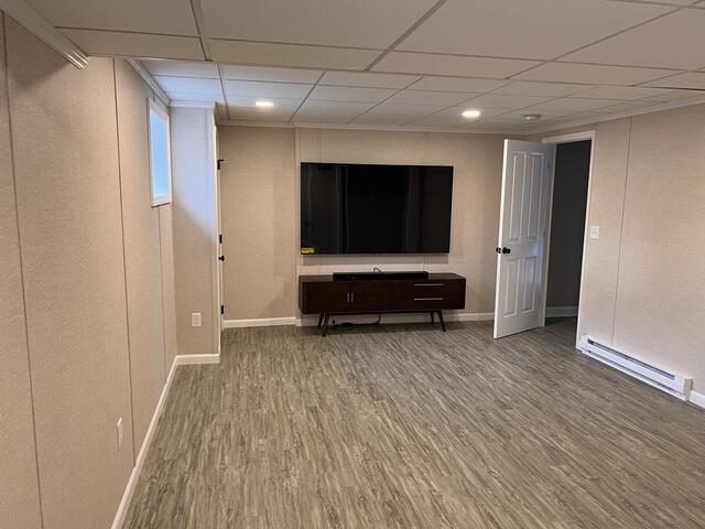 Basement TV area