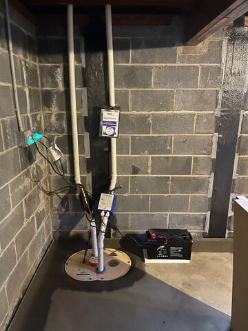 TripleSafe Sump Pump System