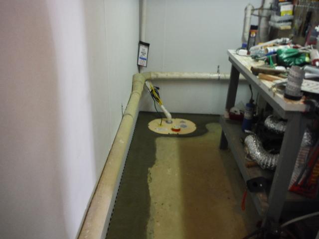 Sump Pump Complete