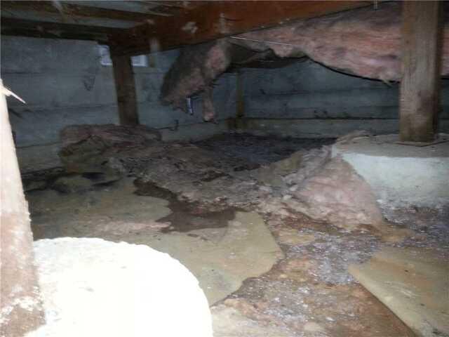 2013 Falling Insulation