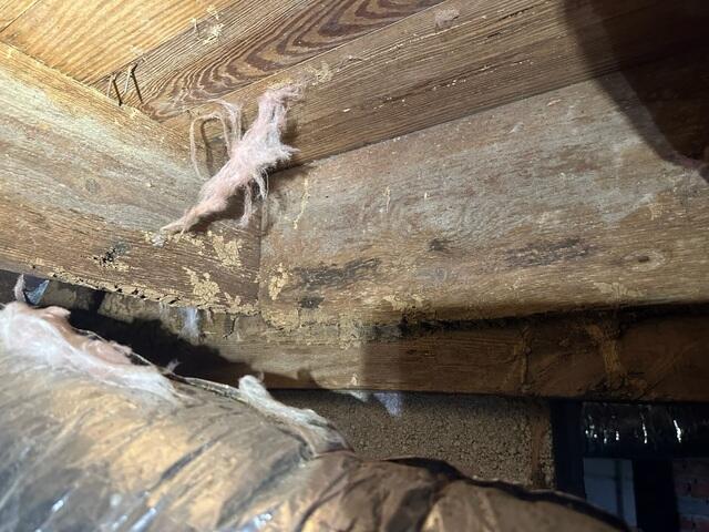 Crawl Space View