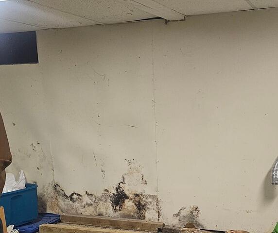 Walls Before Insulation