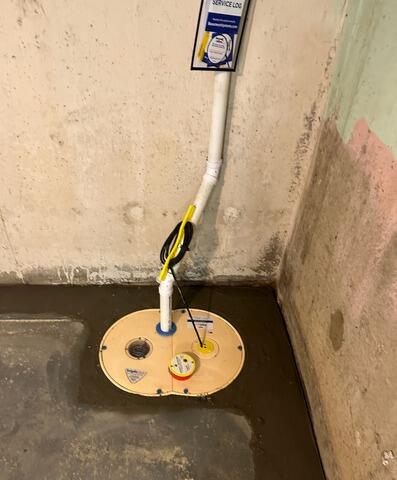 TripleSafe Sump Pump System