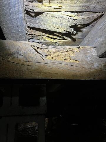 Floor Joist Deterioration