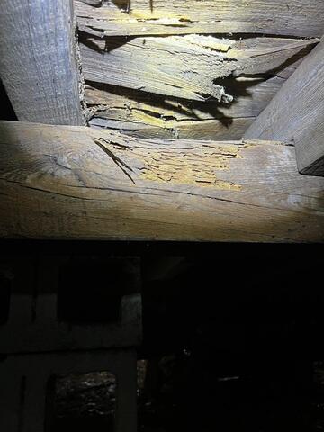 Floor Joist Deterioration