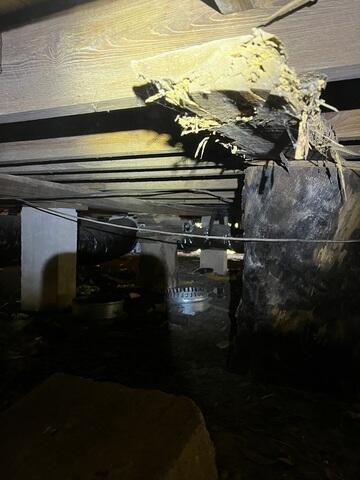 Floor Joist Termite damage