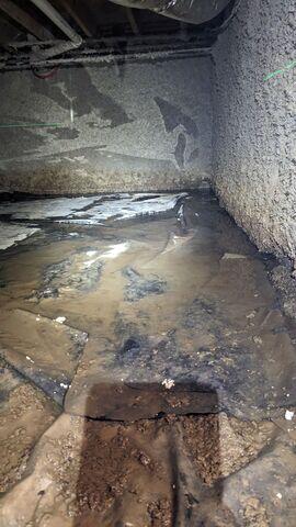 Puddle Predicament