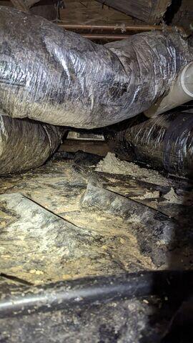 Importance of a Sealed Crawl Space