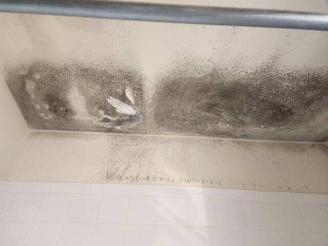 Mold in the Shower