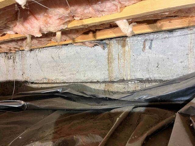 Water Stains along the Walls