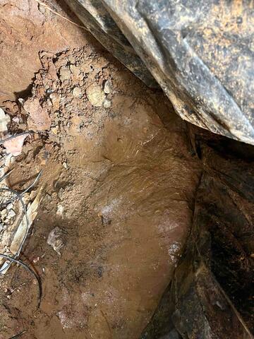 Damp Mud