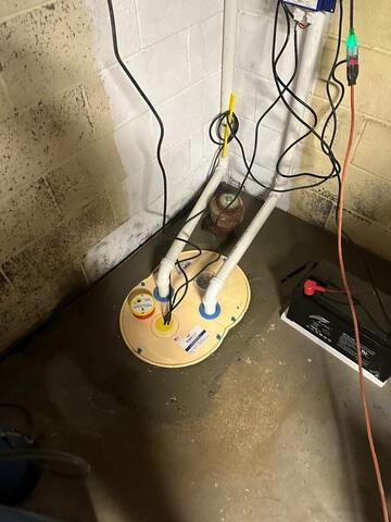 TripleSafe Sump Pump System