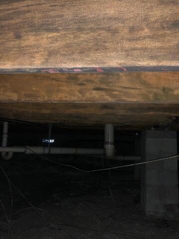 Mold and Mildew Damage