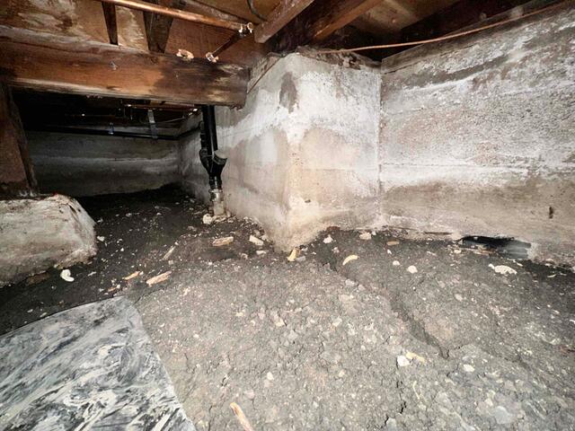 Moist and moldy crawlspace in San Leandro, California