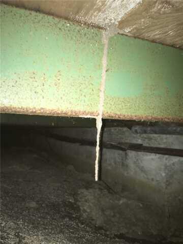 Mold and moisture in crawl space in Union City, California