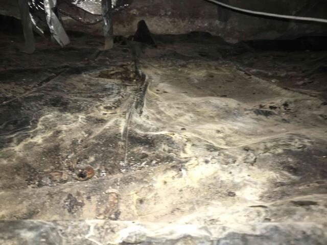 Moldy crawl space in Clayton, California