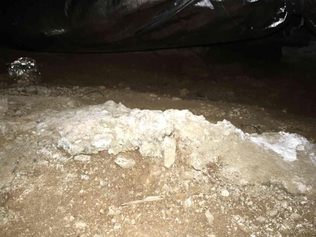 Mold showing up in Clayton, CA crawl space