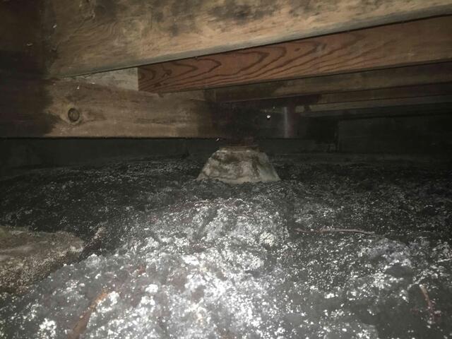 Lafayette, CA, crawlspace showing mold