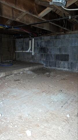 Basement Before