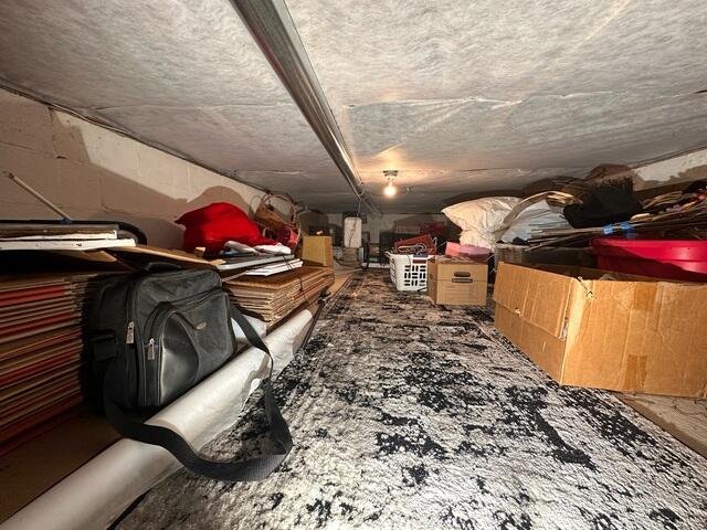 Crawl Space Before