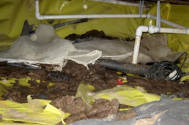 Serious Crawlspace damage in Tomales, CA