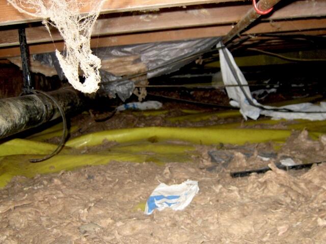 Insulation destroyed by rodents in Tomales, CA