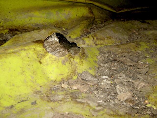 Rodents ripping through crawlspace liner Tomales, CA