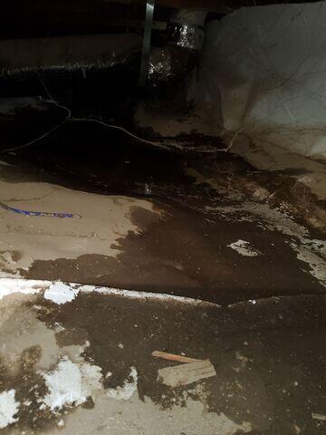 Wet crawlspace in Kentfield, CA