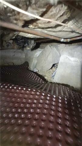 Delta matting protects vapor barrier in crawlspace encapsulation