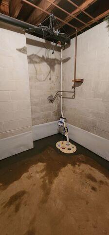 TripleSafe Sump Pump System