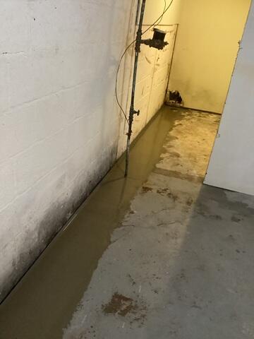 Basement Waterproofing