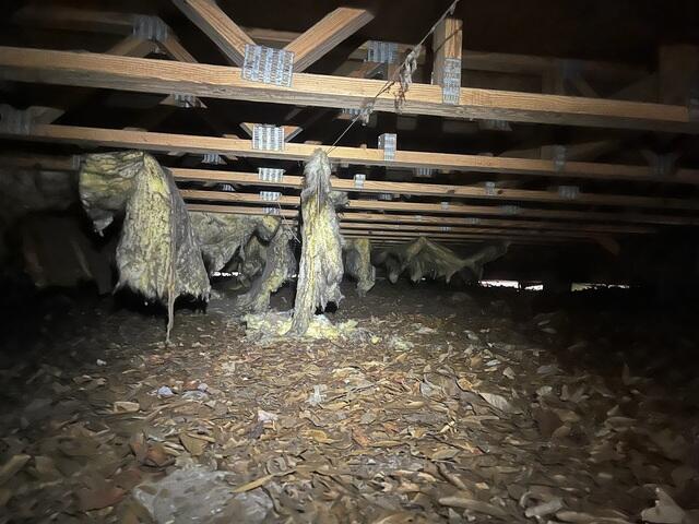 Crawlspace Supports Needed