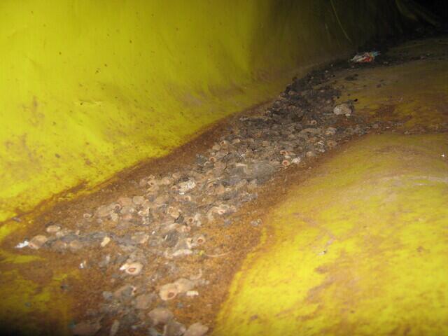 Standing water after flooded Aromas, CA, crawlspace