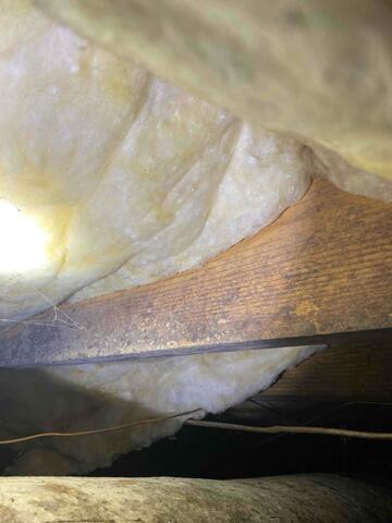 Mold