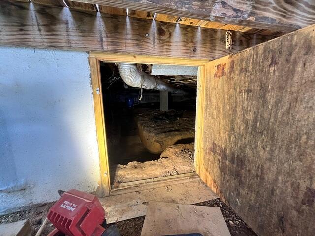 Crawl Space Door
