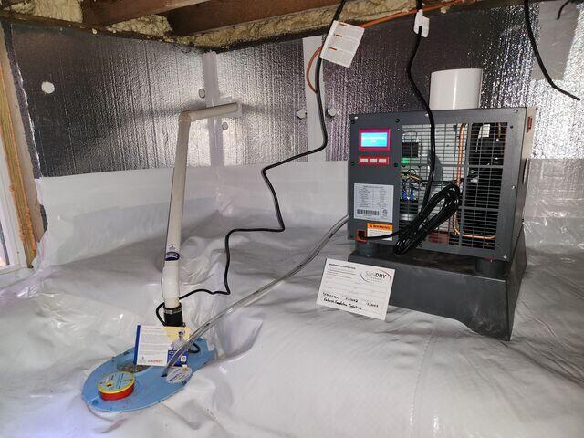 SaniDry Sedona & Super Sump Sump Pump