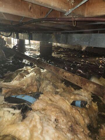 Damp Crawl Space