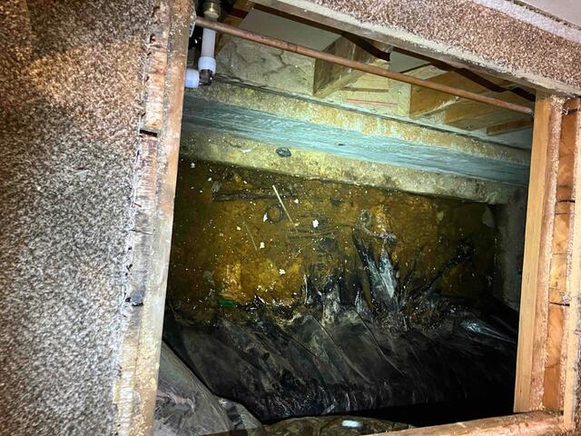 View into Crawlspace Entrance