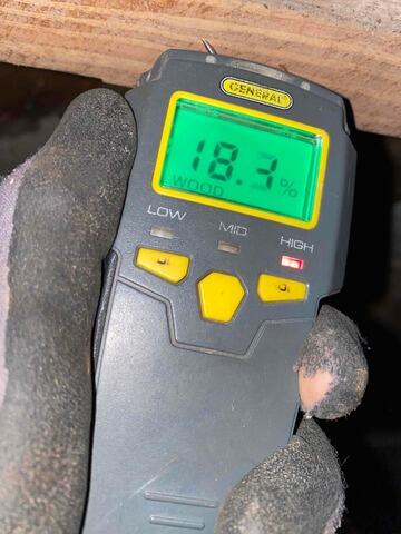 Elevated Wood Moisture