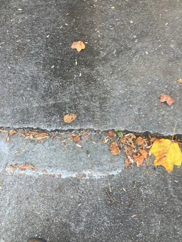 Concrete Cracks