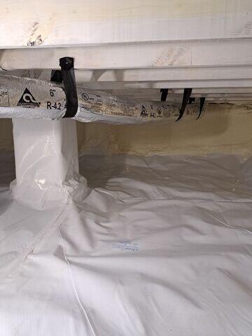 CleanSpace Liner