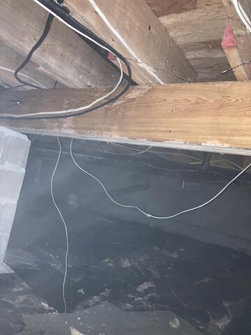 Mold on the Joists
