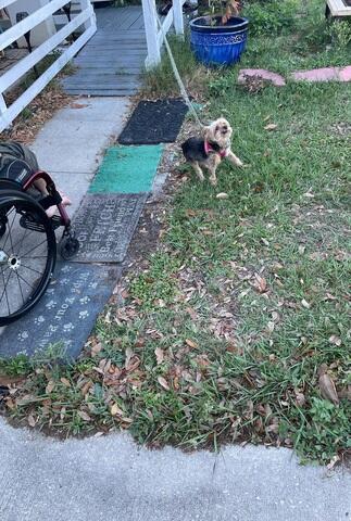 Flood Zone in Front of Home