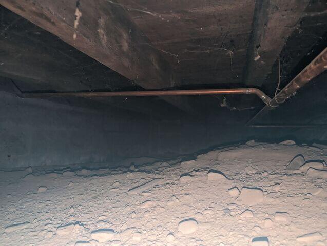 The Initial Crawl Space